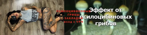 прущий лед Краснослободск
