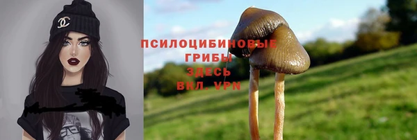 прущий лед Краснослободск