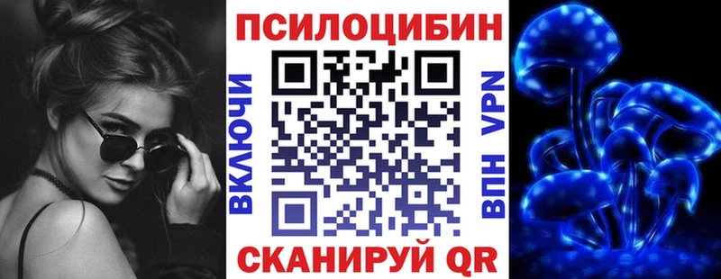 Псилоцибиновые грибы Cubensis  Купить закладки  Бавлы 